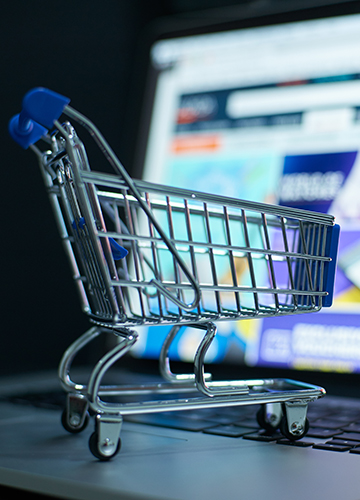 E-commerce Platforms